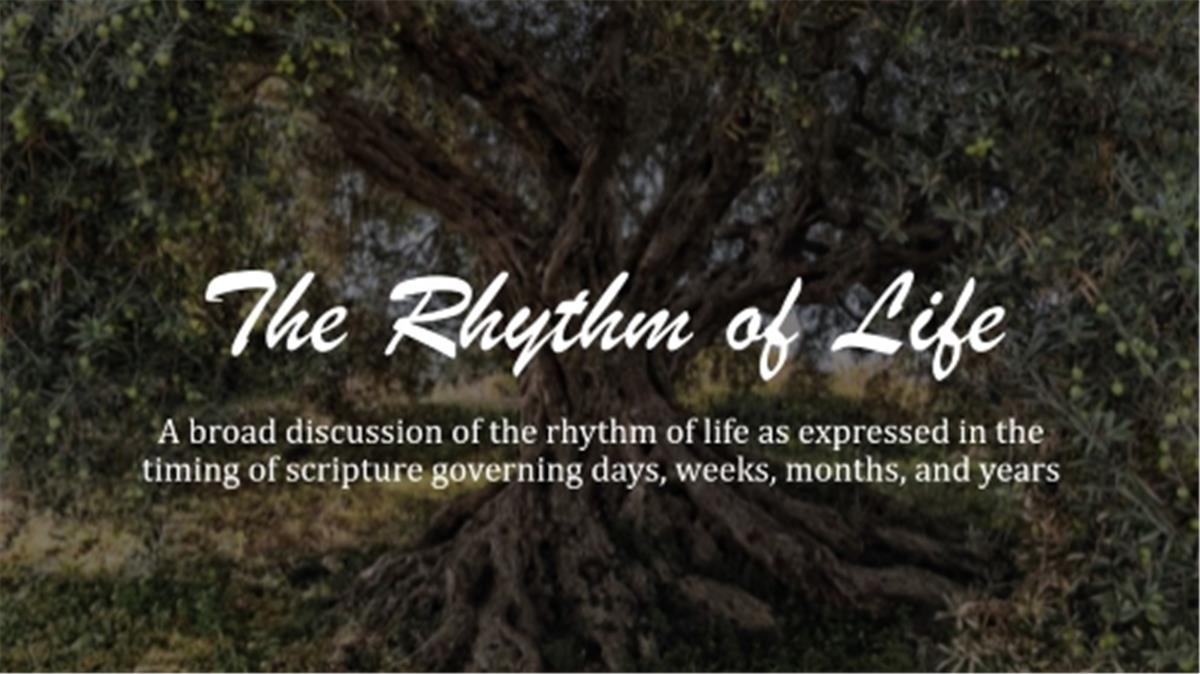 The Rhythm of Life