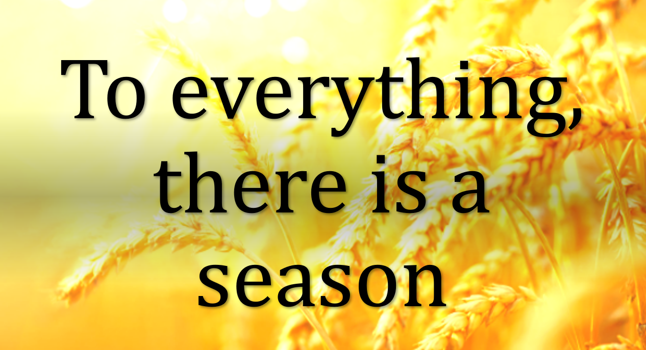 To everything there is a season