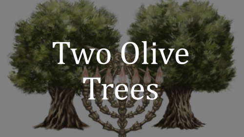 Two Olive Trees