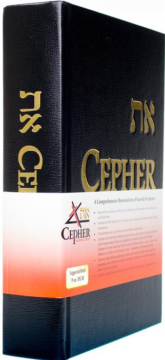 Cropped Cepher 3ER1 Angle BellyBand