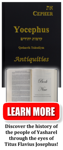 Yocephus Antiquities Cover