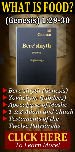 bereshiyth beginnings