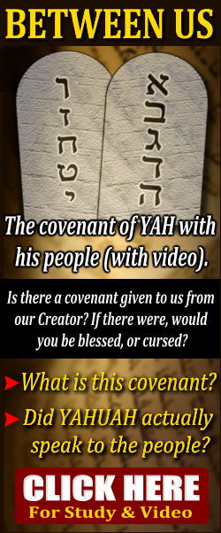 yah's covenant with his people